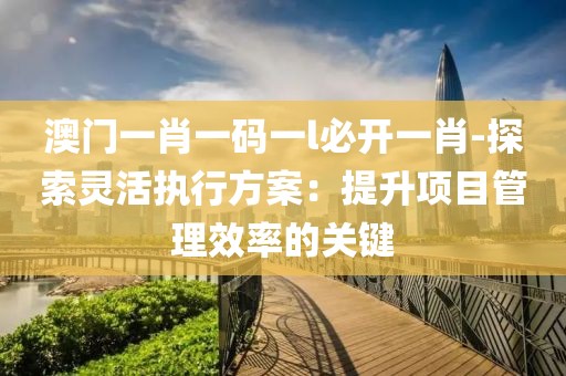 澳门一肖一码一l必开一肖-探索灵活执行方案：提升项目管理效率的关键