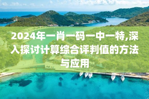 2024年一肖一码一中一特,深入探讨计算综合评判值的方法与应用