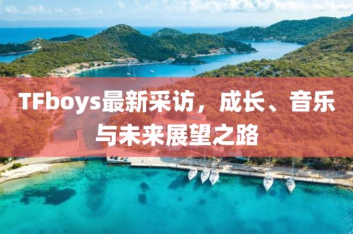 TFboys最新采访，成长、音乐与未来展望之路