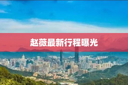 赵薇最新行程曝光