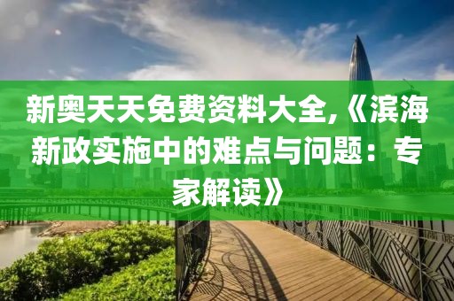 新奥天天免费资料大全,《滨海新政实施中的难点与问题：专家解读》