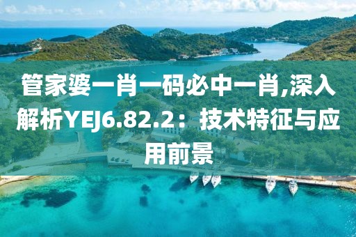 管家婆一肖一码必中一肖,深入解析YEJ6.82.2：技术特征与应用前景