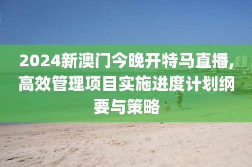 2024新澳门今晚开特马直播,高效管理项目实施进度计划纲要与策略