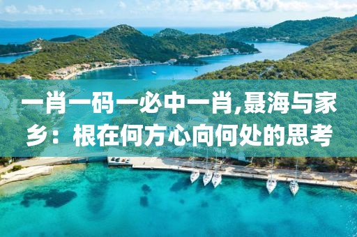 一肖一码一必中一肖,聂海与家乡：根在何方心向何处的思考