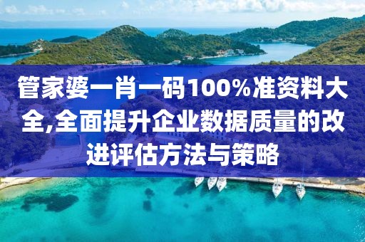 管家婆一肖一码100%准资料大全,全面提升企业数据质量的改进评估方法与策略