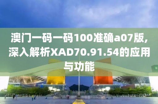 澳门一码一码100准确a07版,深入解析XAD70.91.54的应用与功能