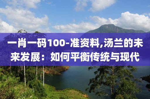 一肖一码100-准资料,汤兰的未来发展：如何平衡传统与现代