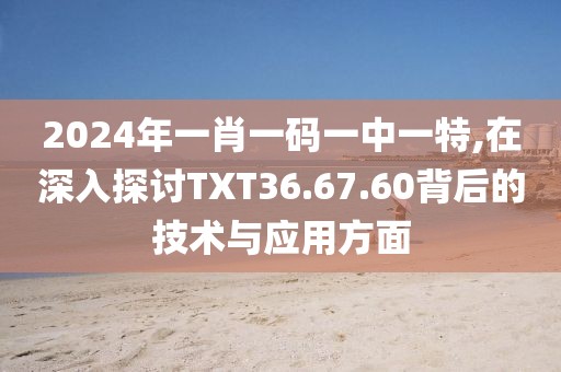 2024年一肖一码一中一特,在深入探讨TXT36.67.60背后的技术与应用方面