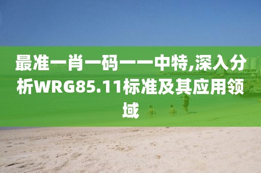 最准一肖一码一一中特,深入分析WRG85.11标准及其应用领域