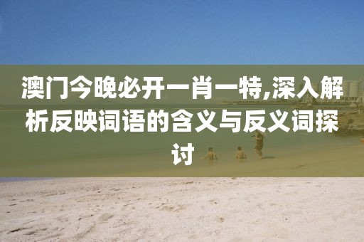 澳门今晚必开一肖一特,深入解析反映词语的含义与反义词探讨