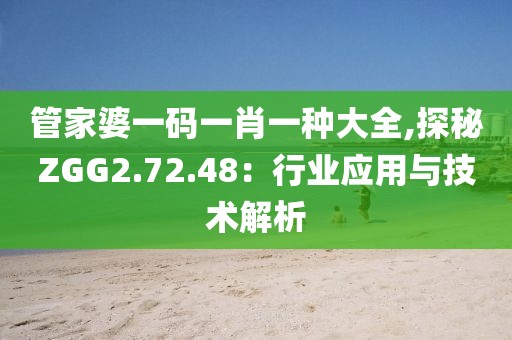 管家婆一码一肖一种大全,探秘ZGG2.72.48：行业应用与技术解析