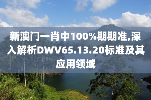 新澳门一肖中100%期期准,深入解析DWV65.13.20标准及其应用领域