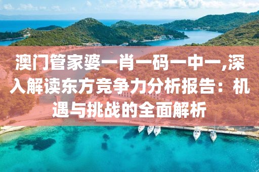 澳门管家婆一肖一码一中一,深入解读东方竞争力分析报告：机遇与挑战的全面解析