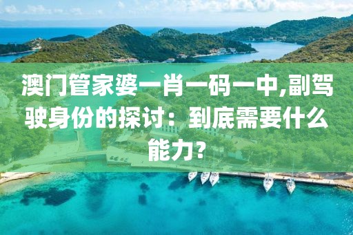 澳门管家婆一肖一码一中,副驾驶身份的探讨：到底需要什么能力？