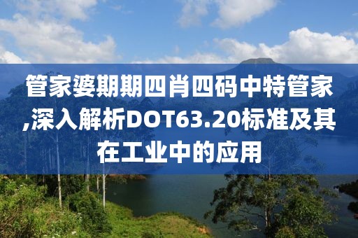 管家婆期期四肖四码中特管家,深入解析DOT63.20标准及其在工业中的应用