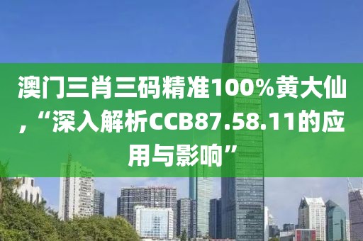 澳门三肖三码精准100%黄大仙,“深入解析CCB87.58.11的应用与影响”