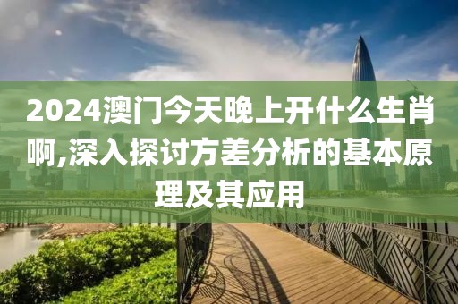 2024澳门今天晚上开什么生肖啊,深入探讨方差分析的基本原理及其应用