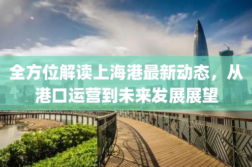 全方位解读上海港最新动态，从港口运营到未来发展展望