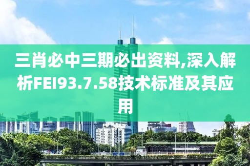三肖必中三期必出资料,深入解析FEI93.7.58技术标准及其应用