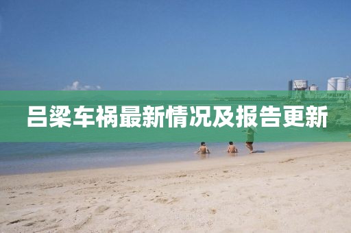 莱青旋 第6页