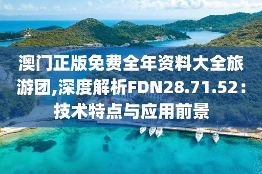 澳门正版免费全年资料大全旅游团,深度解析FDN28.71.52：技术特点与应用前景