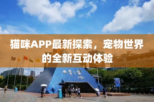 猫咪APP最新探索，宠物世界的全新互动体验