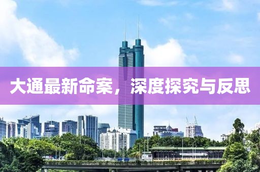 大通最新命案，深度探究与反思
