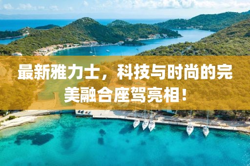 最新雅力士，科技与时尚的完美融合座驾亮相！