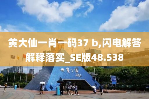 黄大仙一肖一码37 b,闪电解答解释落实_SE版48.538