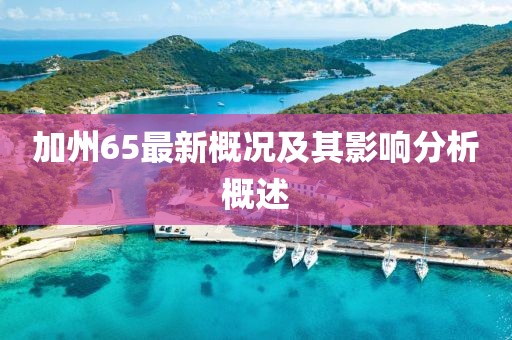 加州65最新概况及其影响分析概述