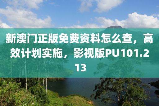 新澳门正版免费资料怎么查，高效计划实施，影视版PU101.213