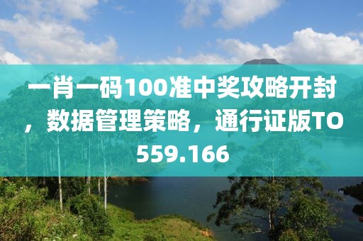一肖一码100准中奖攻略开封，数据管理策略，通行证版TO559.166