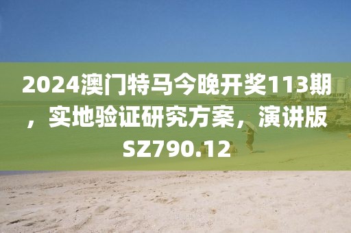 2024澳门特马今晚开奖113期，实地验证研究方案，演讲版SZ790.12