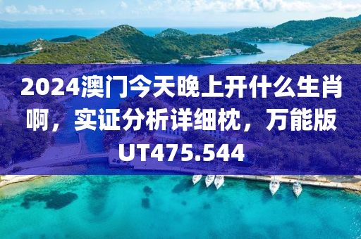 2024澳门今天晚上开什么生肖啊，实证分析详细枕，万能版UT475.544