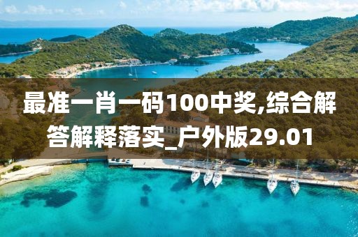 最准一肖一码100中奖,综合解答解释落实_户外版29.01