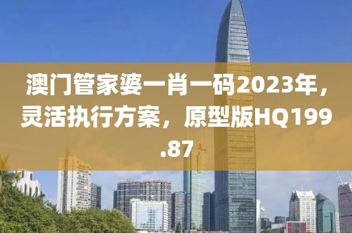 澳门管家婆一肖一码2023年，灵活执行方案，原型版HQ199.87