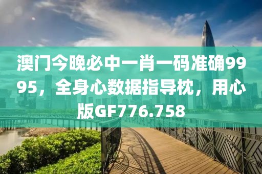 澳门今晚必中一肖一码准确9995，全身心数据指导枕，用心版GF776.758
