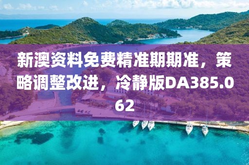 新澳资料免费精准期期准，策略调整改进，冷静版DA385.062