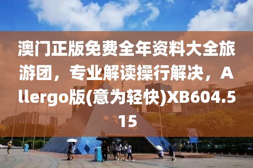 澳门正版免费全年资料大全旅游团，专业解读操行解决，Allergo版(意为轻快)XB604.515