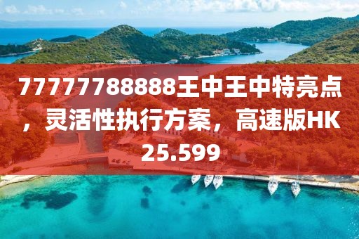 77777788888王中王中特亮点，灵活性执行方案，高速版HK25.599