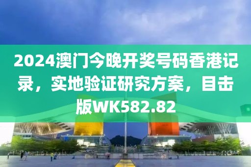 2024澳门今晚开奖号码香港记录，实地验证研究方案，目击版WK582.82