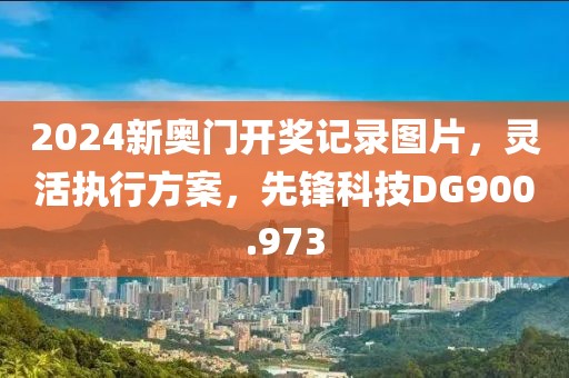 2024新奥门开奖记录图片，灵活执行方案，先锋科技DG900.973
