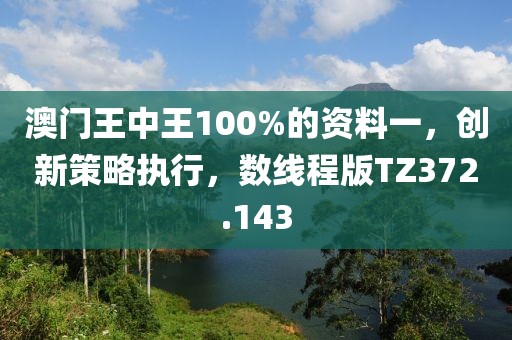 澳门王中王100%的资料一，创新策略执行，数线程版TZ372.143