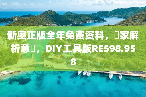 新奥正版全年免费资料，專家解析意見，DIY工具版RE598.958