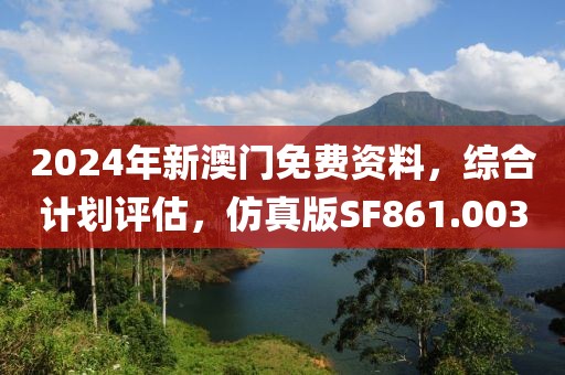 2024年新澳门免费资料，综合计划评估，仿真版SF861.003