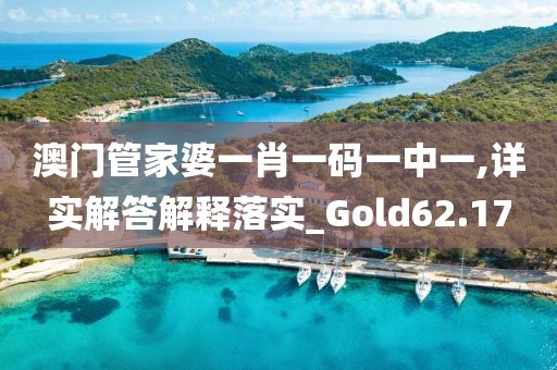 澳门管家婆一肖一码一中一,详实解答解释落实_Gold62.17