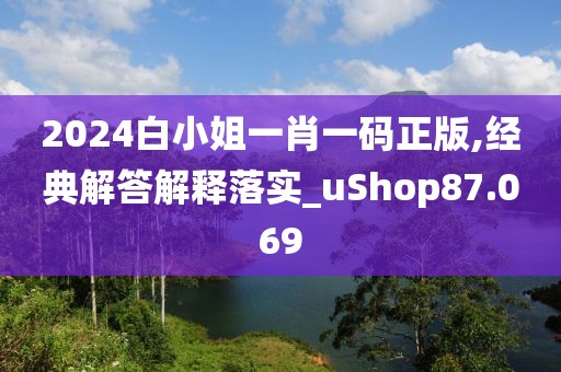 2024白小姐一肖一码正版,经典解答解释落实_uShop87.069