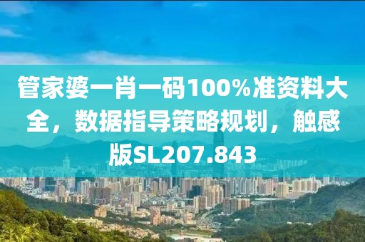 管家婆一肖一码100%准资料大全，数据指导策略规划，触感版SL207.843