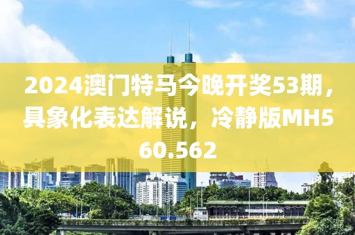 2024澳门特马今晚开奖53期，具象化表达解说，冷静版MH560.562