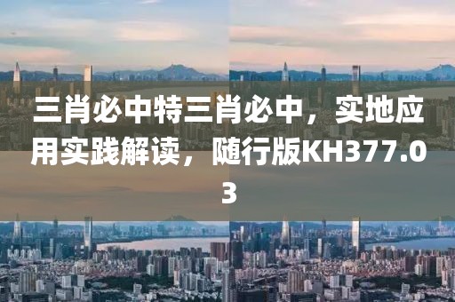 三肖必中特三肖必中，实地应用实践解读，随行版KH377.03